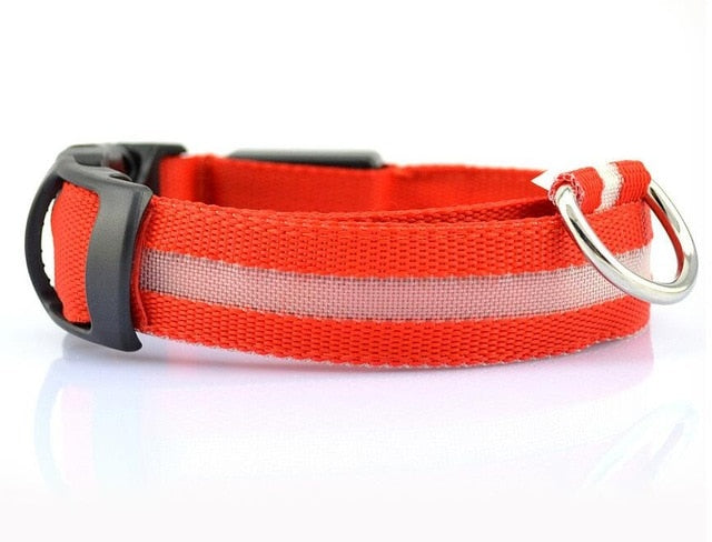 Pet Dog Flashing Nylon Safety Night Collar